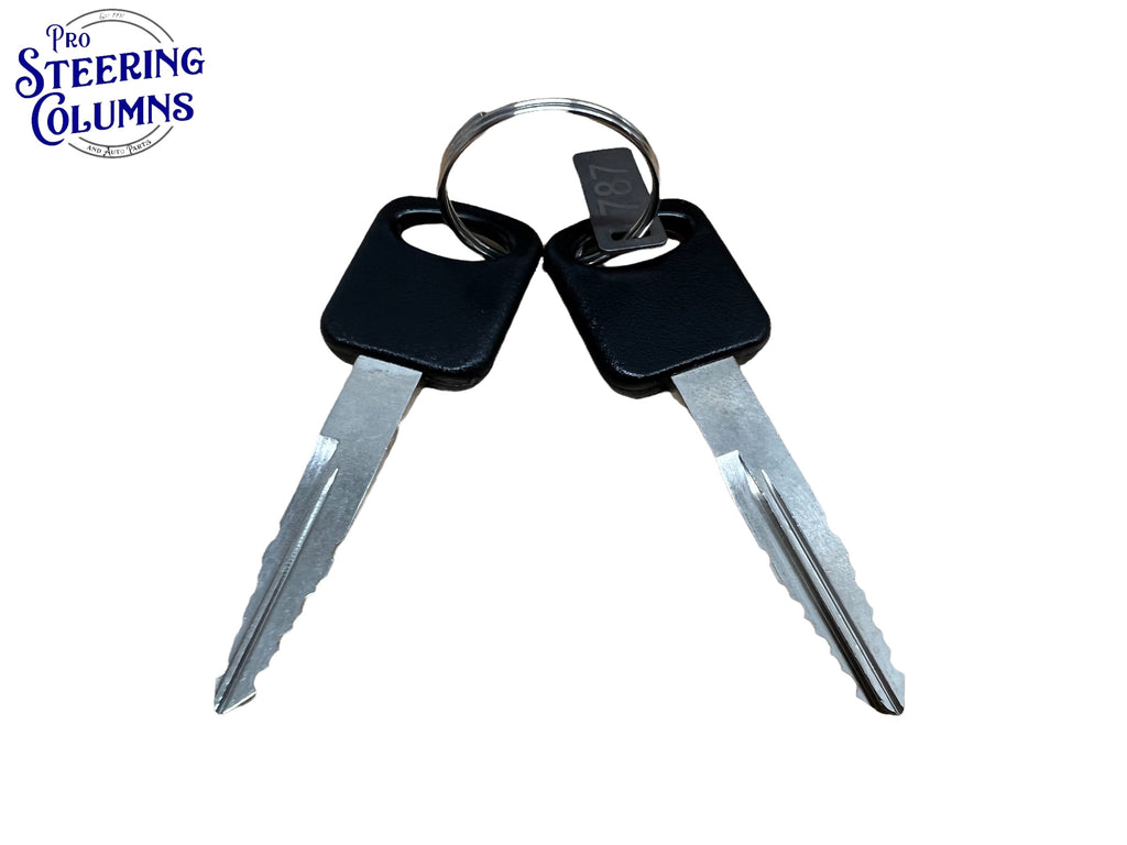 2004 & Up Focus F-150 F-250 F-350 Ignition Lock Cylinder 2 Keys New AU5Z-11582-B