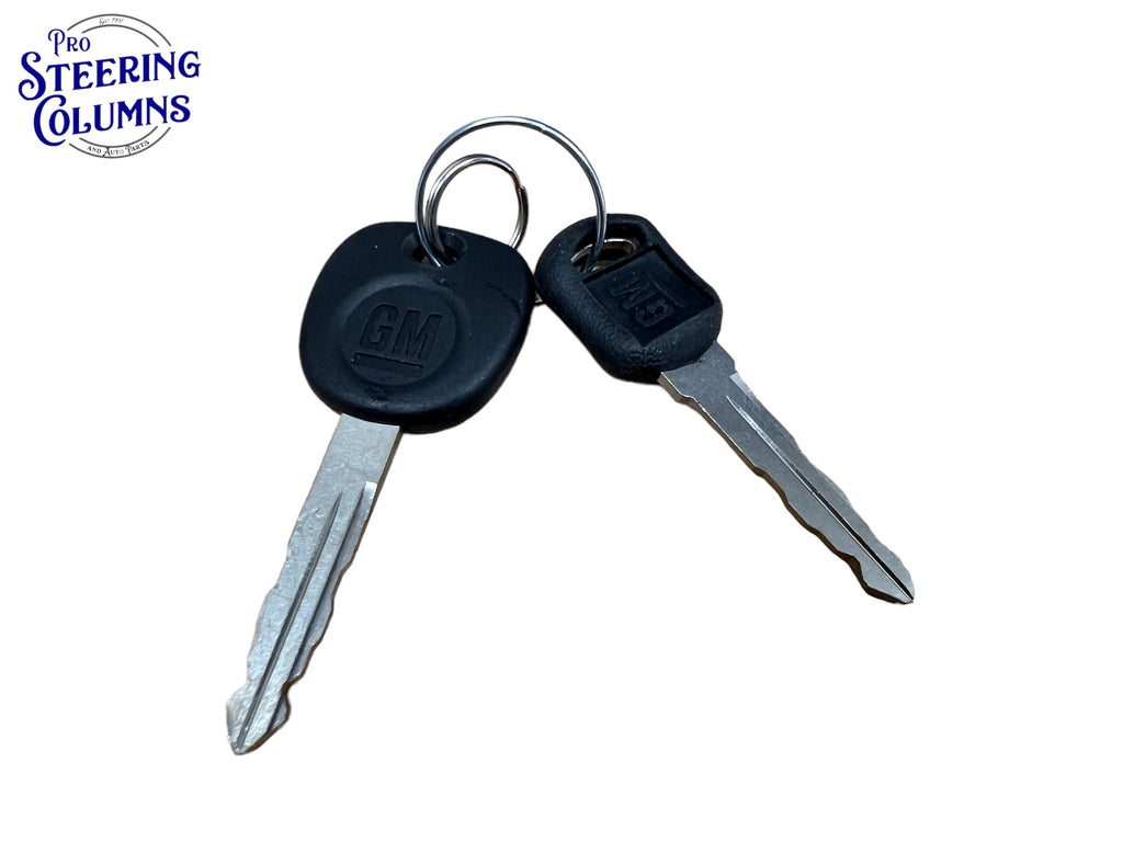 2001-2006 Silverado Sierra Tahoe Door Lock Cylinder 2 Keys New OEM